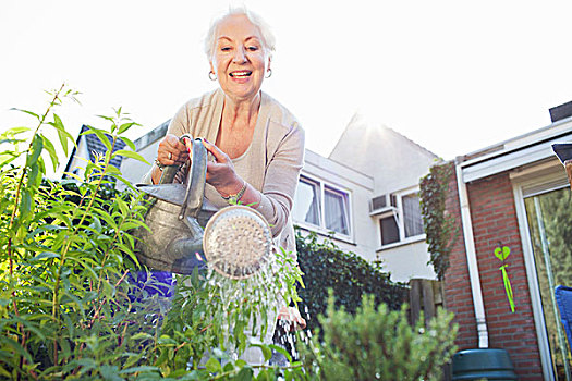 老年,女人,花园,浇水,植物