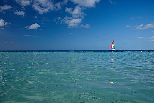 双体船,阿鲁巴,加勒比海