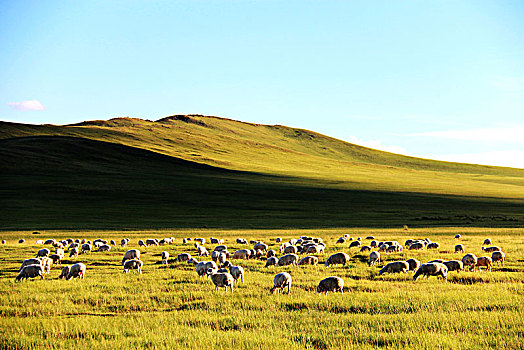 草原牧场