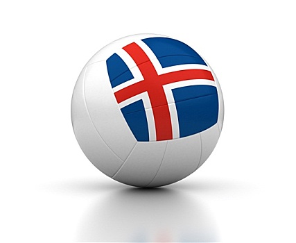 冰岛,排球,团队