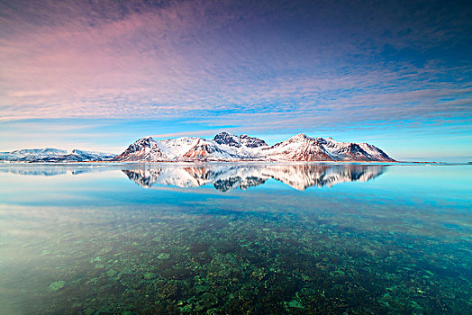 雪,顶峰,反射,晶莹,海洋,罗浮敦群岛,挪威