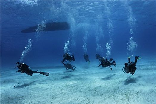 深潜,游泳,高处,沙,海底,珊瑚礁,环礁,伯利兹,中美洲,加勒比海