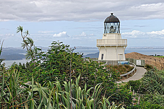 头部,灯塔,半岛,北岛,新西兰