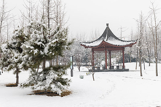 河北省石家庄正定县,云居湖公园雪景