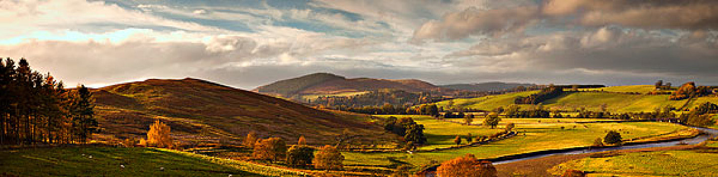 道路,弯曲,秋天,色彩,风景,苏格兰,景色,苏格兰边境