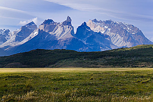 风景,草地,托雷德裴恩国家公园,巴塔哥尼亚,智利