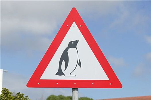交通标志,小心,企鹅,好望角,南非