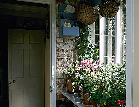 入口,门廊,花,罐,窗台