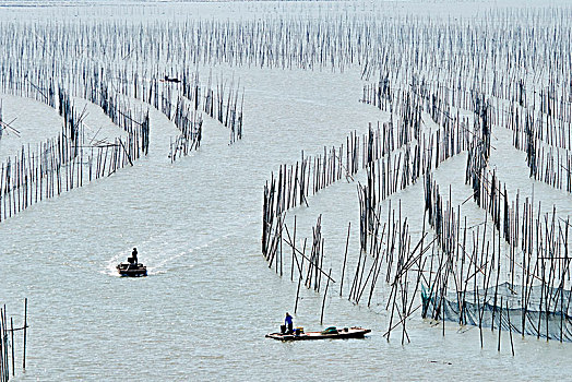 福建霞浦