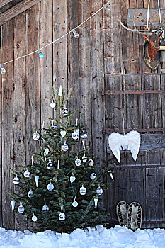 装饰,圣诞树,小玩意,翼,建筑,乡村,木质,小屋,雪中