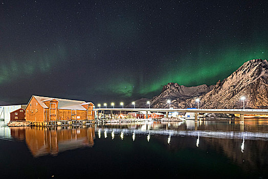 北极光,上方,城镇风光,港口,光亮,桥,罗弗敦群岛,挪威,欧洲