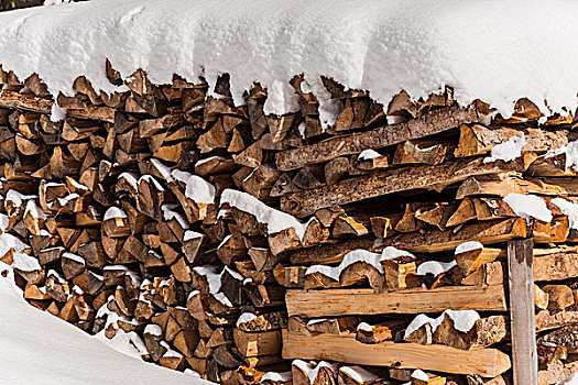 堆,木头,雪,提洛尔,奥地利,欧洲