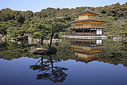 日本,关西,京都,金阁寺,庙宇,金亭