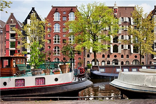 船屋,房子,运河,阿姆斯特丹