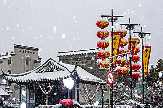 夫子庙雪花纷飞