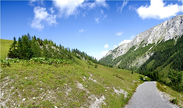 阿尔卑斯草甸,道路