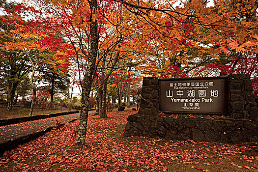日本山中湖公园