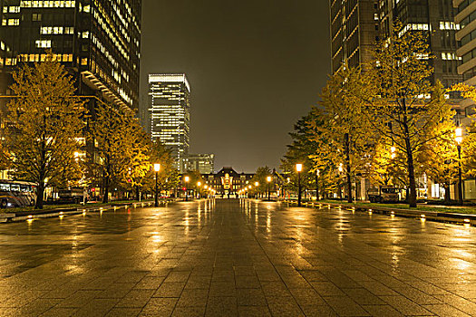 东京站,夜晚,东京,日本