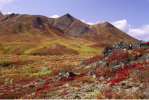 墓碑,山,育空地区,加拿大