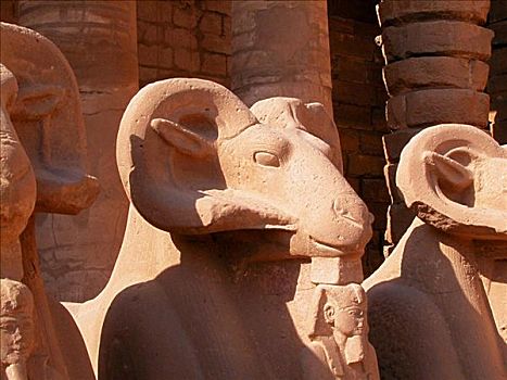 特写,三个,雕塑,庙宇,卡尔纳克神庙,路克索神庙,埃及