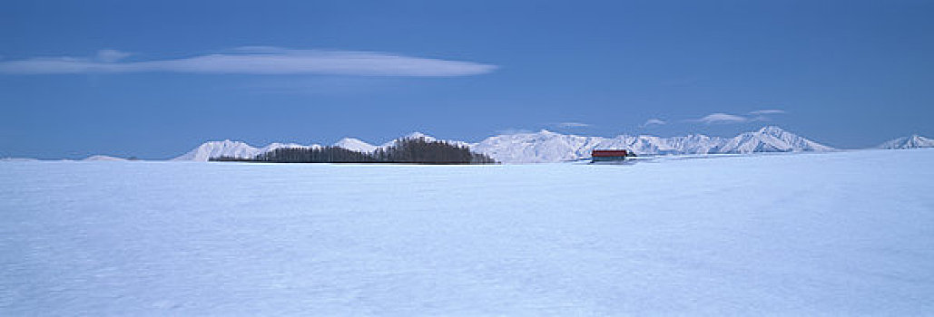 山,冬天