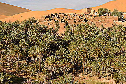 阿尔及利亚,撒哈拉沙漠