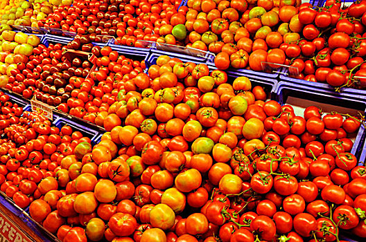 西班牙,西红柿