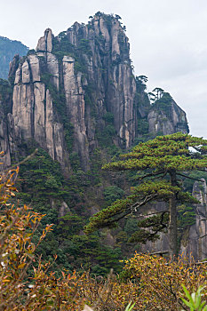 三清山奇峰怪石