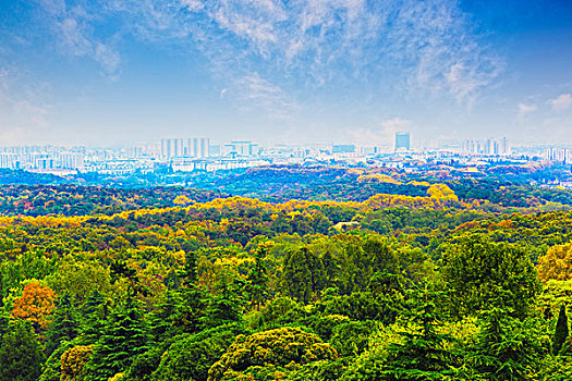 南京钟山风景区