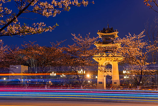 南京鸡鸣寺盛开的樱花风光