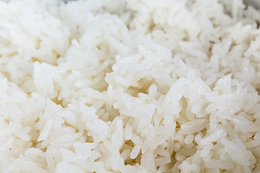 白色,米饭