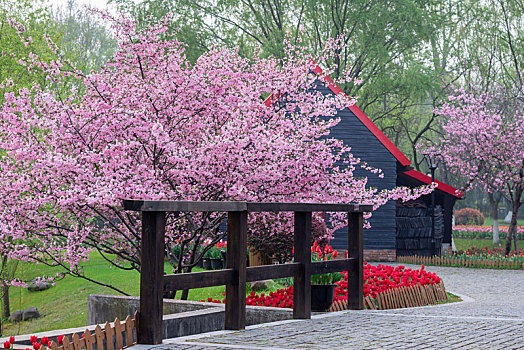 春天的南京绿博园
