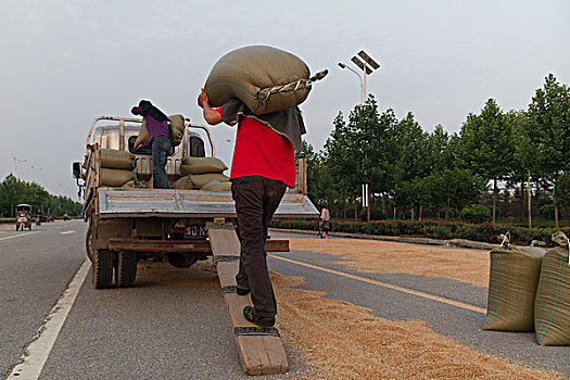 粮食装车