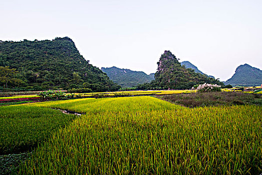 龙虎山