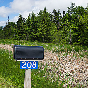 邮箱,草场,肯辛顿,爱德华王子岛,加拿大