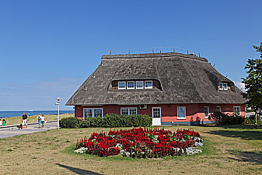 房子,散步场所,波罗的海,海岸,梅克伦堡前波莫瑞州,德国,欧洲
