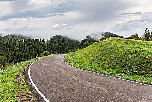 公路,地平线,道路,交通