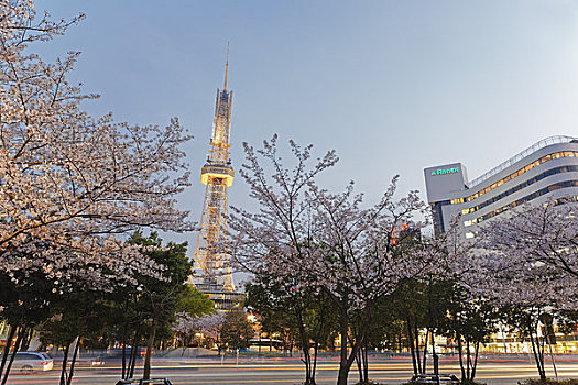 名古屋,电视塔,爱知,日本