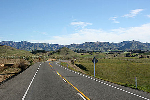 漂亮,道路,新西兰