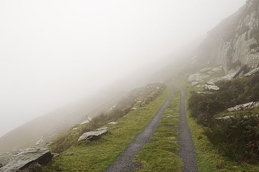 道路,薄雾,科克郡,爱尔兰