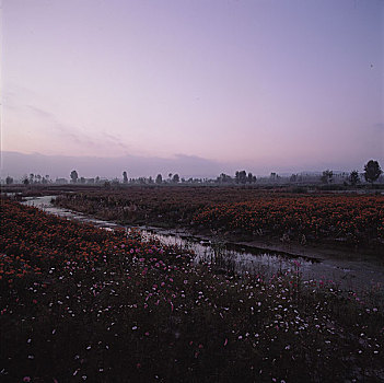 贵州,马岭河,花海,云天,山水