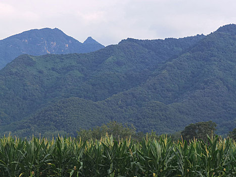 秦岭风光