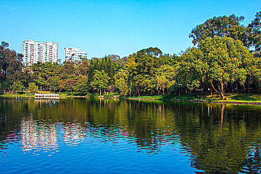 广州初冬下午,天河公园景色美丽,气候宜人,愉快的周末假期