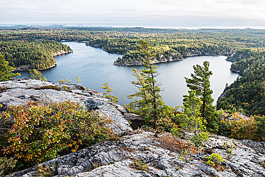 漂亮,风景,秋天,树林,湖,山顶,安大略省,加拿大