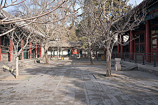 中式小院子