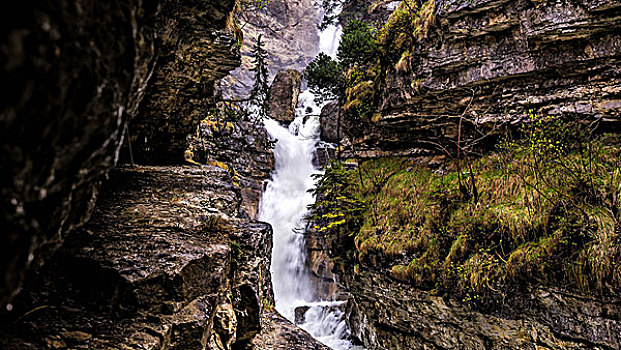 瀑布,靠近,巴伐利亚,德国