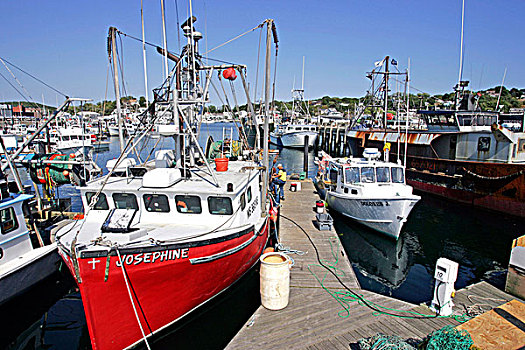 打渔船队,马萨诸塞,新英格兰,美国