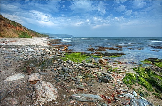 德文郡,海岸线,英格兰