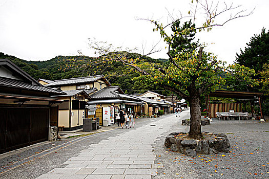 日本,京都,岚山