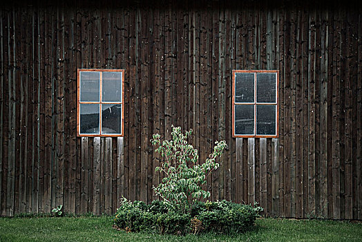 木屋,两个,窗户